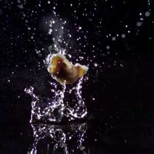 Scientific high-speed visualization of popcorn hull failure and starch release.